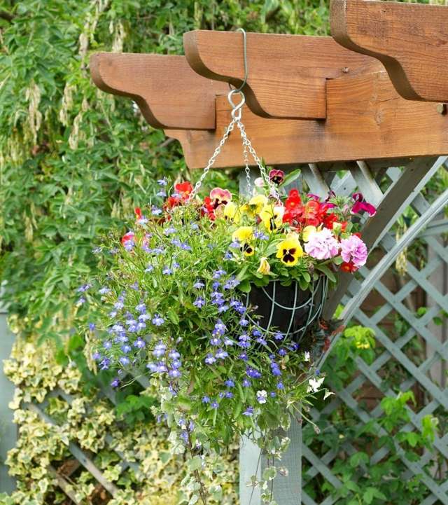 Visiace rastliny altánok krásne zdobia nápady obrázky