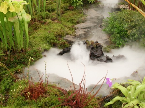 Nápad na dizajn vodnej záhrady Steam Nápad na dizajn vodnej záhrady