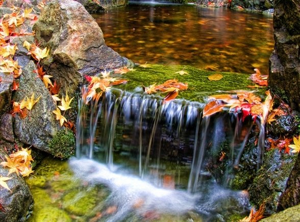 krásna vodná záhrada jeseň krásna vodná záhrada
