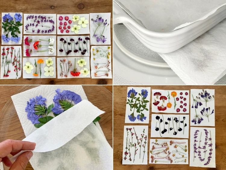 Kvety sušte v mikrovlnnej rúre a použite ich na návrh krídel