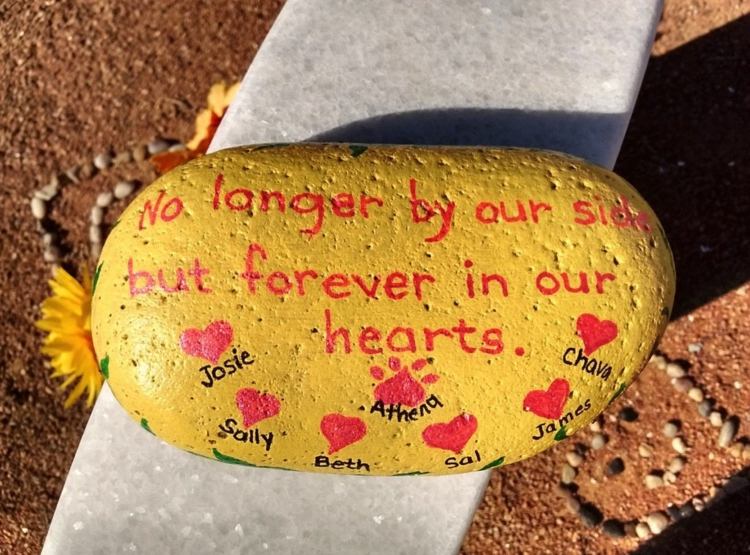 Maľujte kamene s výrokmi v angličtine