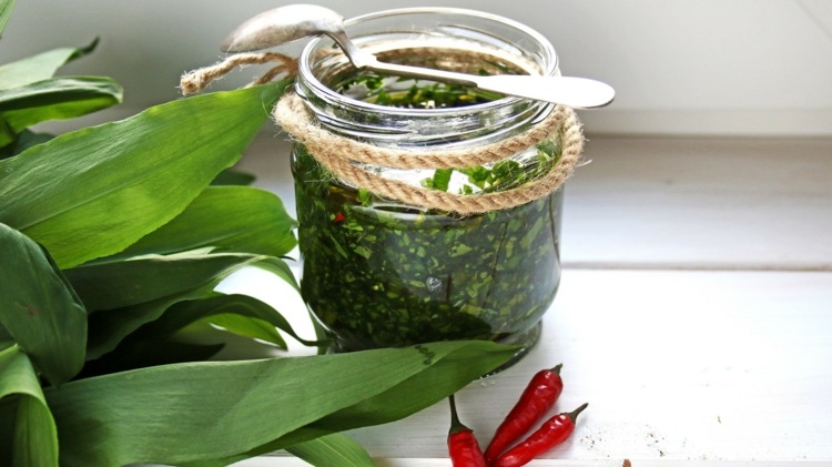 Pesto z medvedieho cesnaku urobte nápady na recepty na zdravé jedlo sami