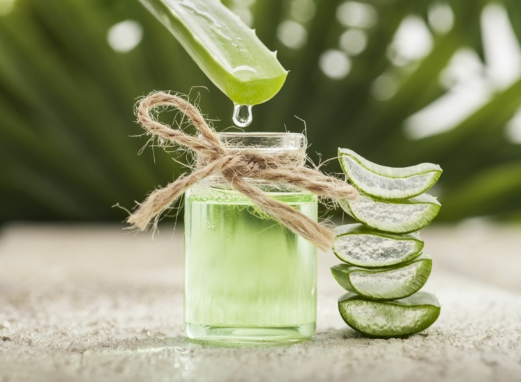 Aloe Vera namiesto chemického liftingu mihalníc