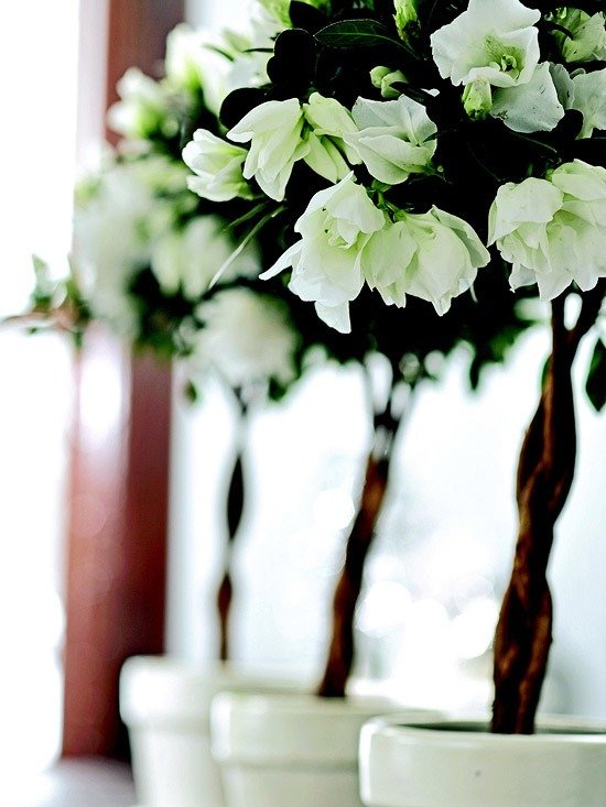 biela azalka hrniec vianočná výzdoba nápad vianočná nálada nápaditý dom na vianočné dekorácie v bielej azalke