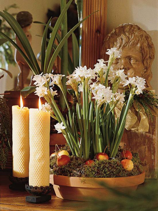 vianočný narcis mach mini jablká hrniec sviečky vianočná dekorácia vianočný narcis mach mini jablká terakotové hrnce vianočné sviečky