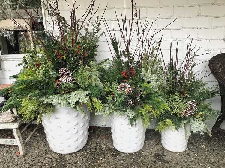 jedľové úpravy do exteriéru v kvetináčoch