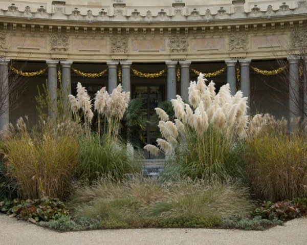 záhrada s vysokými trávami a záhradami Nápady na záhradu na záhradnú cestu