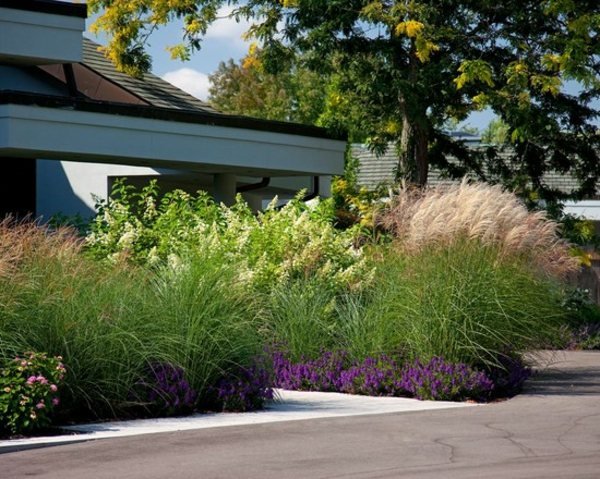 Plány na ochranu súkromia pred vchodom do domu Dekoratívne nápady na ochranu súkromia vysokej trávy