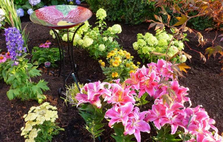 Do záhona vysaďte letné kvitnúce trvalky na slnko a tieň