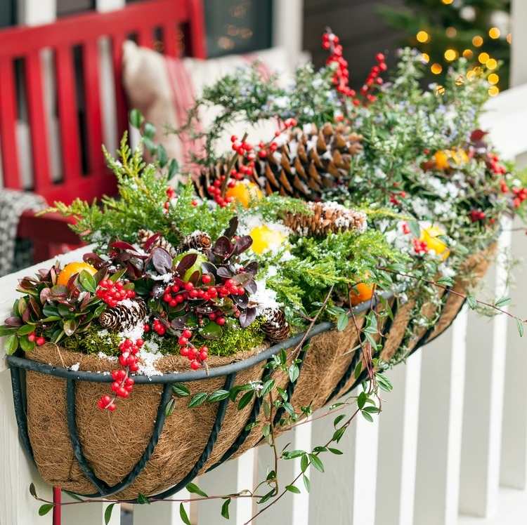 Zimná dekorácia v januári Ozdobte košík rastlín prírodnými materiálmi zvonku parapetu