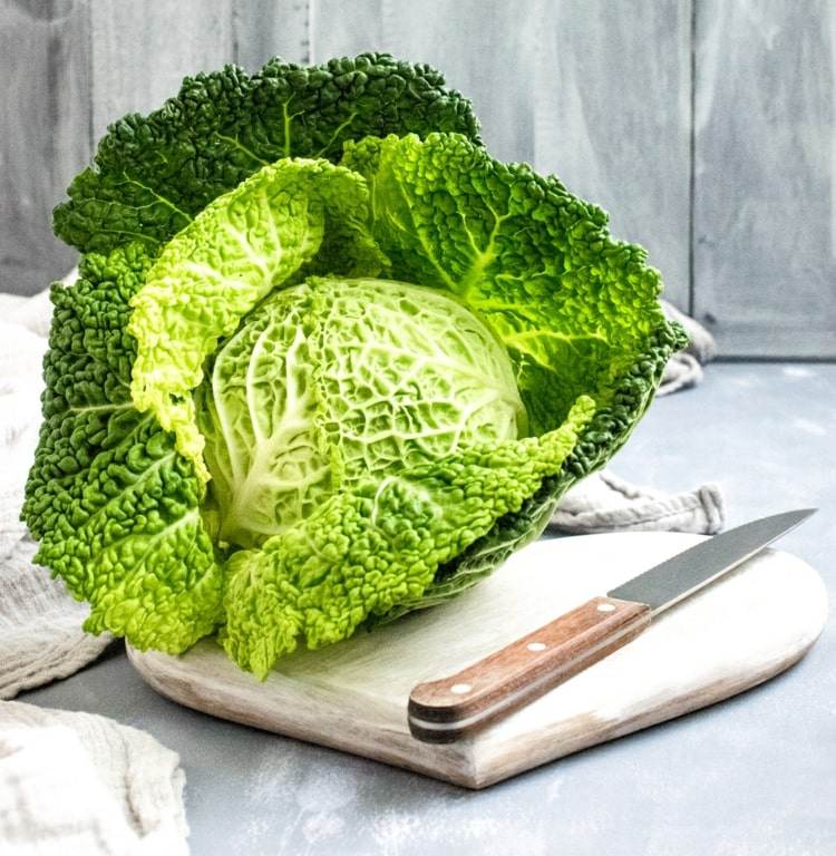 Zdravá kapusta savoy s množstvom vitamínov a ďalších živín