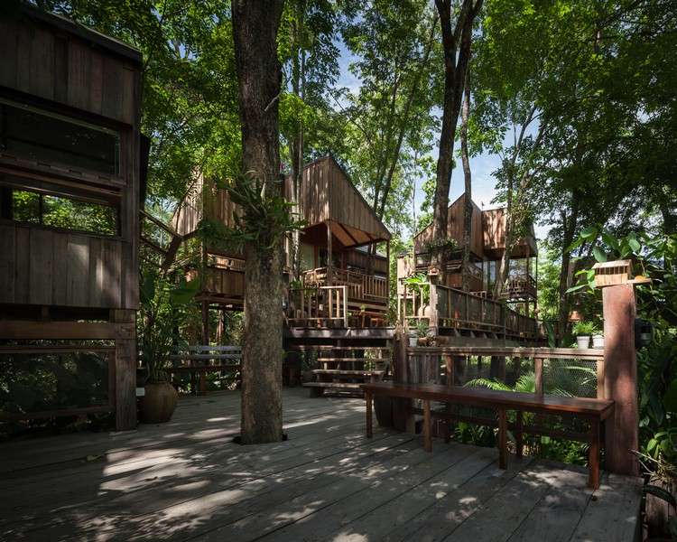 Drevené chaty na terase pri lesných stromoch