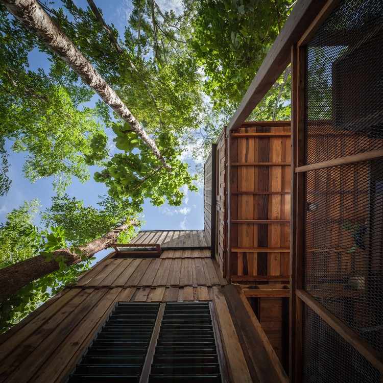 Drevené chatrče v lese špeciálne-architektúra-drevenice