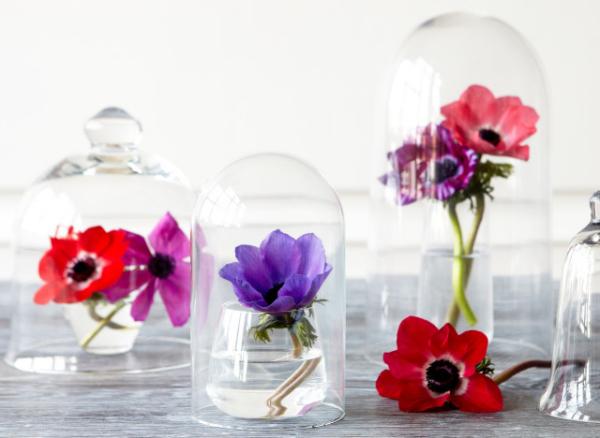 jarné dekorácie kvety pod sklenenými zvonmi