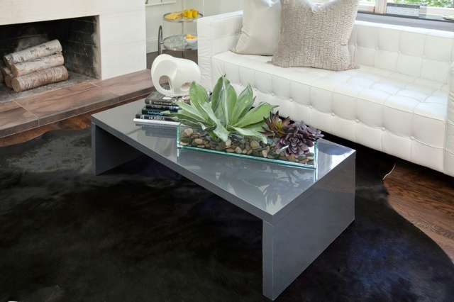 Nápady na dekoráciu konferenčného stolíka čerstvé rastliny tmavo modrá Nápady na dekoráciu čerstvé rastliny tmavo modrý koberec