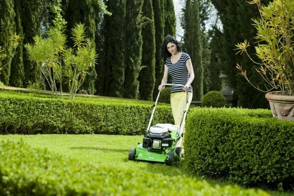Kosačky na trávu nákup kritérií pre typy záhradných modelov Kritériá nákupu záhradnej kosačky