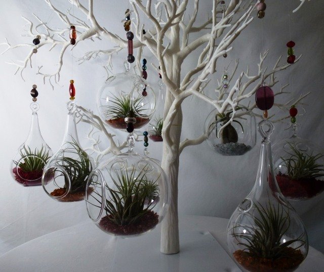 Tillandsia správne sa starajúca o terária zavesí plastové stromové korálky