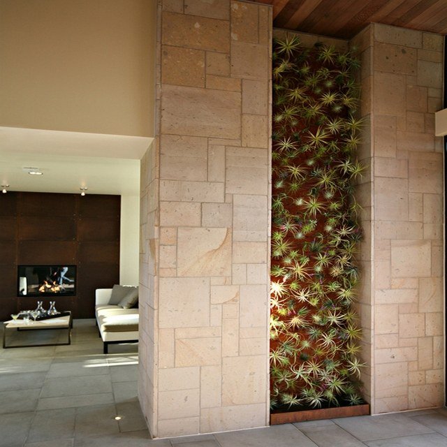 tillandsien deko zariadenie vertikálnych záhrad starostlivosti