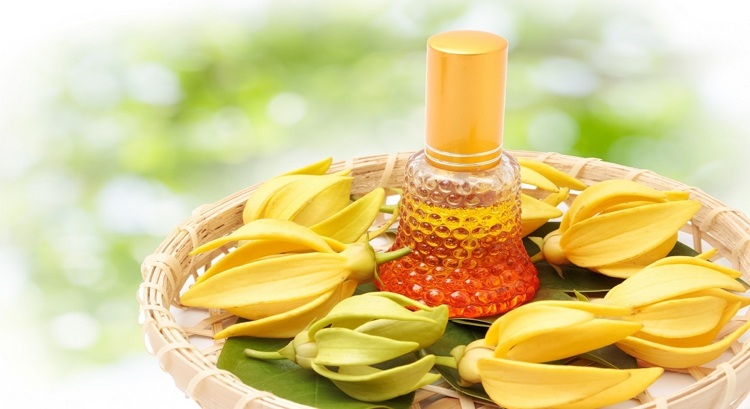Stručný prehľad výhod a možných použití oleja Ylang Ylang Oil