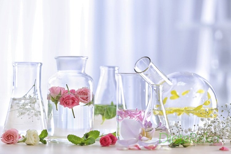 Ako si vyrobiť parfum z ylang ylangového oleja sami