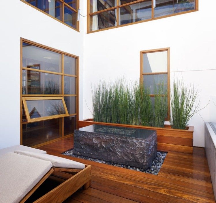 Zen-záhradné rastliny-praslička-bambusová-praslička