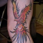 tűz madár tetoválás az egész oldalon