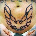hő madár tetoválás a has alsó részén