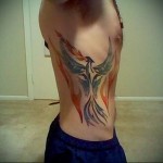 tűz madár tetoválás a srác bordáin