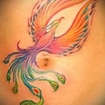 tűzmadár tetoválás a köldök közelében a lány számára