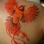 tűzmadár tetoválás - kis rajz a lapockán