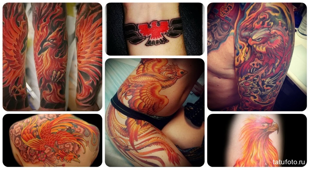 Tűz madár tetoválás