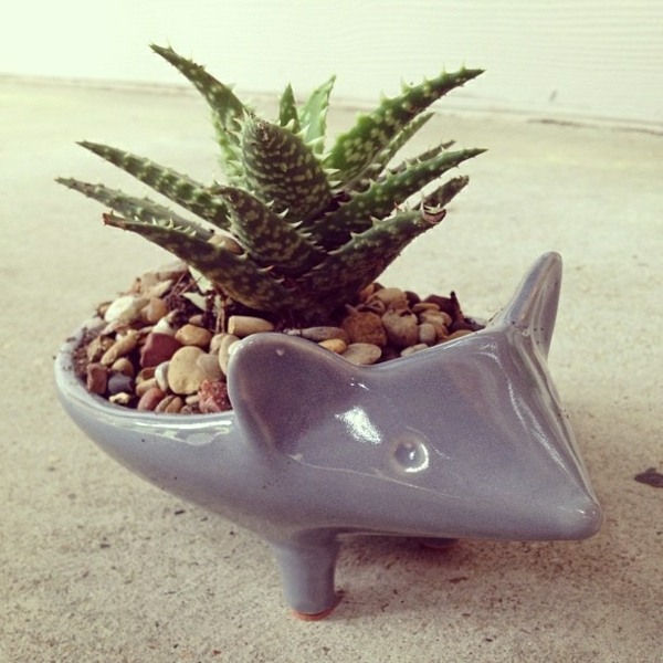 Prasiatka-sucha-zemina-kremik