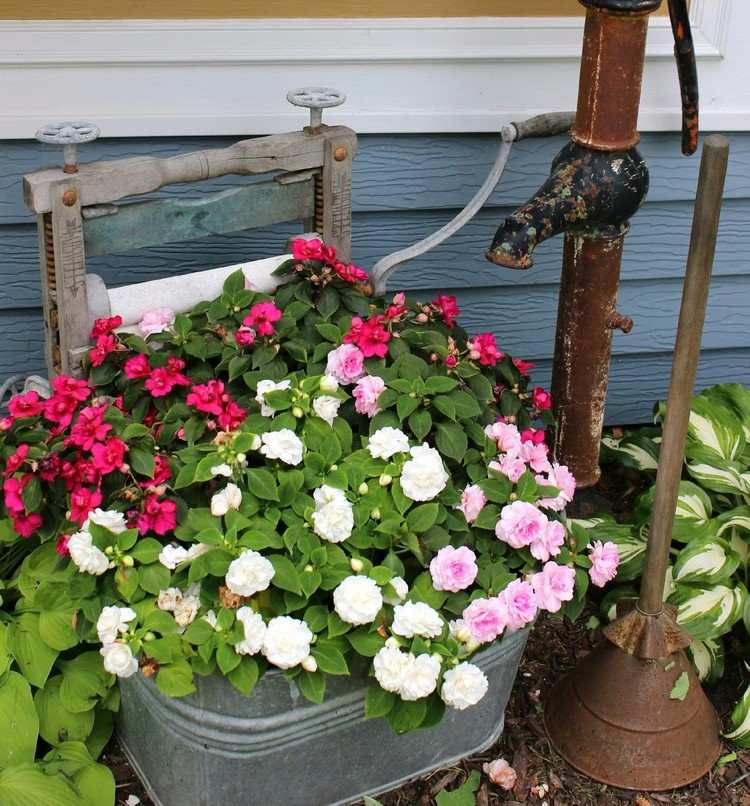 Zinková vaňa vysádzajúca kvety kombinujúce farby