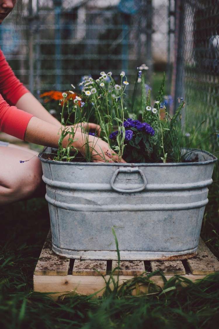 Výsadba zinkovej vane záhrada-nápady-kvety-výsadba