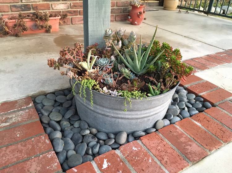 výsadba zinkovej vane-nápady-sukulenty-kombinovanie