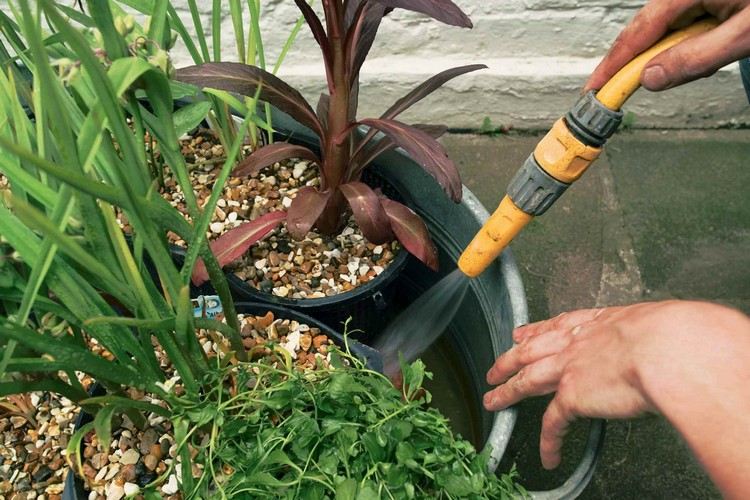 zinková vaňa-návod na výsadbu-mini-jazierko-voda