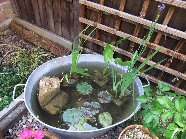 výsadba zinkovej vane-nápady-plnenie-vhodné-rastliny