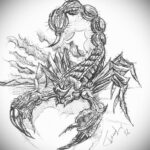 Scorpion tattoo sketch 01/16/2021 №0063 -scorpion tattoo sketch-