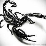 Scorpion tattoo sketch 16.01.2021 №0061 -scorpion tattoo sketch-
