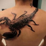 Photo of black scorpion tattoo 16.01.2021 №0006 -black scorpion tattoo-
