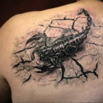 Photo of a scorpion tattoo on the back 01/16/2021 №0027 -scorpion back tattoo-