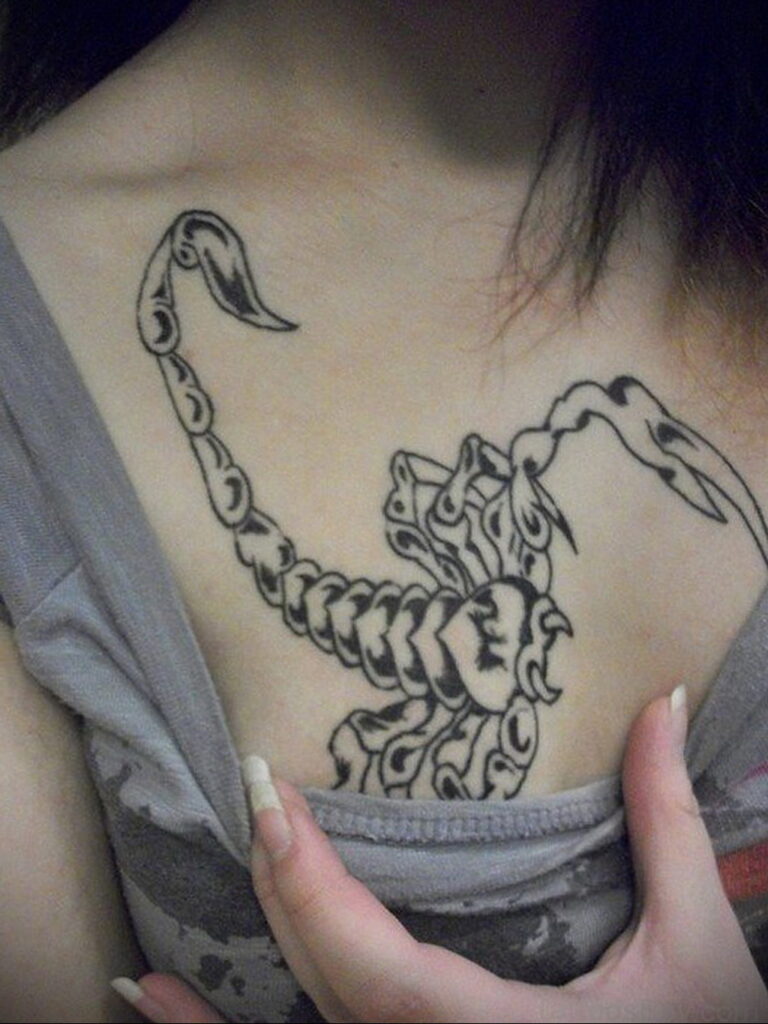 Photo Scorpion tattoo on chest 01/16/2021 №0048 -scorpion tattoo on chest-