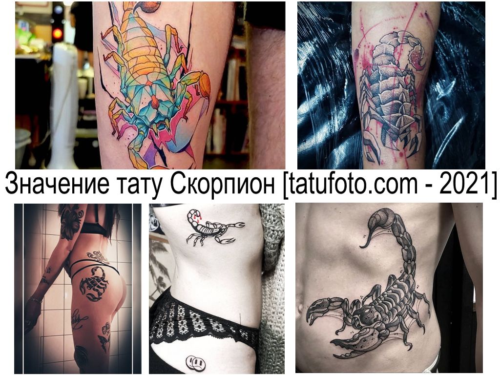 Scorpio tattoo meaning - information about features and meaning - tattoo designs