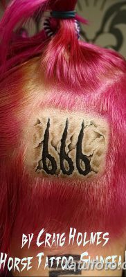 fotó a 666 -os tetoválásról, 2018. január 16 -án, №011 - tetoválás 666 -