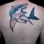 Стойността на татуировката на акула 5