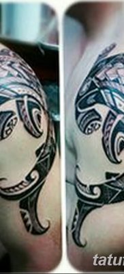 снимка на татуировка акула чук с дата 25.09.2017 г. №009 - татуировка акула чук -