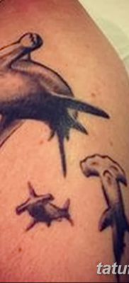 снимка на татуировка акула чук с дата 25.09.2017 г. №015 - татуировка акула чук -