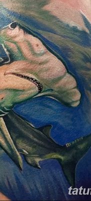 снимка на татуировка акула чук с дата 25.09.2017 г. №021 - татуировка акула чук -