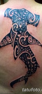 снимка на татуировка акула чук с дата 25.09.2017 г. №029 - татуировка акула чук -