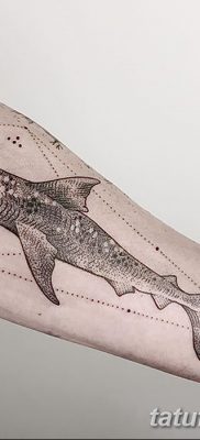снимка на татуировка акула чук с дата 25.09.2017 г. №032 - татуировка акула чук -